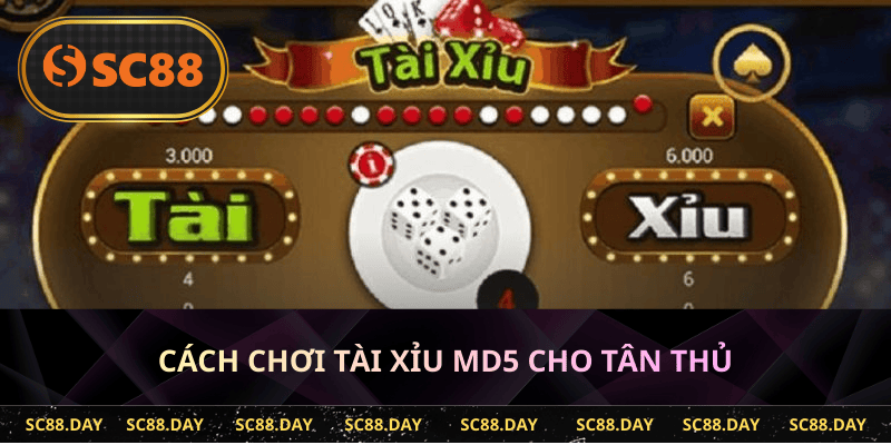 Cách chơi tài xỉu MD5 cho tân thủ